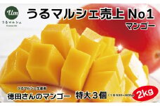 うるマルシェ売上No. 1【超希少大玉６００g超】徳田さんのマンゴー　特大玉３個で約２kg【 先行予約 2026年発送 】数量限定