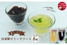 【おやつの実　Lafra（ラフラ）】自家製ゼリーアソート8個セット　洋菓子　素材にこだわった　おやつ　おかし　うるま市　沖縄　手作り　ゼリー　シークヮーサー　コーヒー　コーヒーゼリー