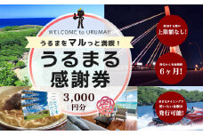 うるまをマルっと満喫！うるまる感謝券　3000円分　うるま市内のいろんなお店で使えます　発行の期限無し　来年でも再来年でもいつまででも使えます　宿泊　ショッピング　食事　体験　選べる金額　3000円　15000円　30000円　150000円　300000円　迷ったらこれ　　観光　海中道路　ぬちまーす　ホテルレストラン
