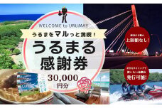 うるまをマルっと満喫！うるまる感謝券　30000円分　うるま市内のいろんなお店で使えます　発行の期限無し　来年でも再来年でもいつまででも使えます　宿泊　ショッピング　食事　体験　選べる金額　3000円　15000円　30000円　150000円　300000円　迷ったらこれ　　観光　海中道路　ぬちまーす　ホテルレストラン