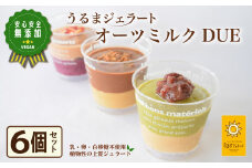 うるまジェラート　オーツDUE6個セット　ヴィーガン
