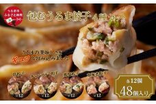 【ふるさと納税】包むうるま餃子 4種セット（島餃子・鶏塩餃子・チャンプルー餃子・車海老餃子）　 餃子　豚肉　ゴーヤー　車海老　沖縄　中華
