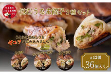 【ふるさと納税】包むうるま餃子　３種セット（島餃子・鶏塩餃子・チャンプルー餃子）　 餃子　豚肉　ゴーヤー　鶏　鶏肉　沖縄　中華