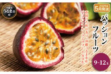 うるま市産パッションフルーツ（9〜12玉）