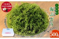 【うるま市産】こだわり海ぶどう　500g