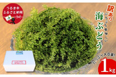 【うるま市産】訳あり海ぶどう　1kg（茎付き）