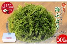 【うるま市産】訳あり海ぶどう　500g（茎付き）