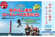 あやはし海中ロードレース2025の出走権（３.８㎞★１名様分）