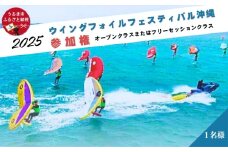 ウイングフォイルフェスティバル沖縄参加権★オープンクラス、またはフリーセッションクラス
