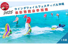 ウイングフォイルフェスティバル沖縄★表彰パーティのみの参加権