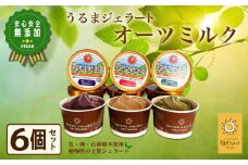 うるまジェラート　オーツミルク6個セット　ヴィーガン