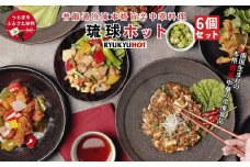 普龍通冷凍本格旨辛中華料理（琉球ホット：冷凍品）6個入り
