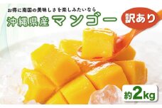 ハナトフルーツ 沖縄県産 訳ありマンゴー２ｋｇ 【 先行予約 2026年発送 】