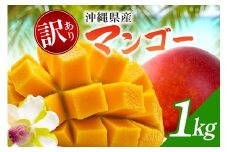 【 先行予約 2026年発送 】訳ありマンゴー 1kg 沖縄県産 マンゴー 訳あり 1キロ 訳アリ 国産 完熟マンゴー 果物 南国 くだもの フルーツ 完熟 夏 旬 特産品 沖縄 取り寄せ 産地直送 農家直送 甘い 濃厚 うるま市