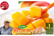 宮城農園の完熟マンゴー　約1kg（1~2玉）【 先行予約 2026年発送 】