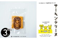 サーモンテリーヌ