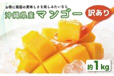 ハナトフルーツ 沖縄県産 訳ありマンゴー1ｋｇ 【 先行予約 2026年発送 】