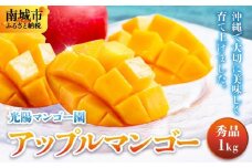 ＜先行予約・数量限定＞アップルマンゴー 秀品（1kg）KM001