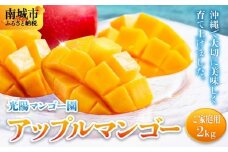 ＜先行予約・数量限定＞アップルマンゴー ご家庭用（2kg）KM006