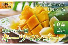 ＜先行予約・数量限定＞キーツマンゴー 良品（2kg）KM008