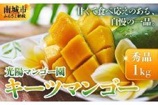＜先行予約・数量限定＞キーツマンゴー 秀品（1kg）KM009