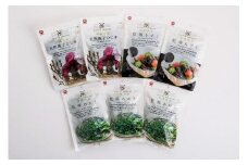 沖縄の乾物海藻セット