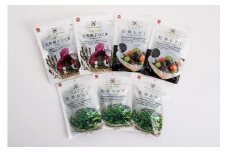 沖縄の乾物海藻セット