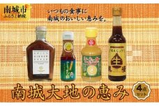 南城大地の恵み4点セット