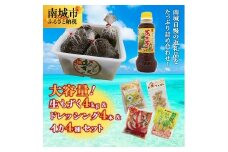 大容量！生もずく&イカいかセット