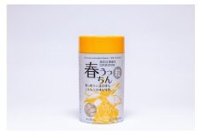 ウコンのふるさと沖縄南城市 春うっちん粒　4個セット