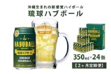 【2ヶ月定期便】琉球ハブボール350ml×24缶