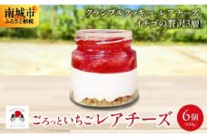 ごろっとイチゴとレアチーズ（南城市／美らイチゴ）