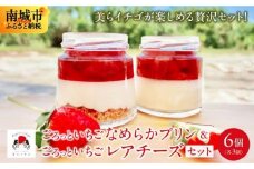 ごろっとイチゴとなめらかプリン＆ごろっとイチゴとレアチーズ セット
