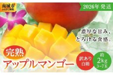 ★【2026年発送】＜訳あり・ご家庭用＞完熟アップルマンゴー約2kg（白箱）3玉～7玉