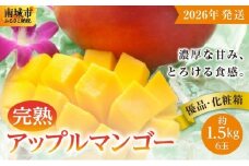 【2026年発送】＜優品＞完熟アップルマンゴー約1.5kg（化粧箱）6玉