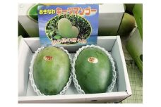 【先行受付】【2025年発送】キーツマンゴー 南城市 約1kg (1～2玉)