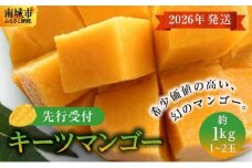(先行受付)【2026年発送】キーツマンゴー 南城市 約1kg (1～2玉)