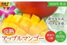 【2026年発送】＜訳あり・ご家庭用＞完熟アップルマンゴー約800g（白箱）2玉～3玉