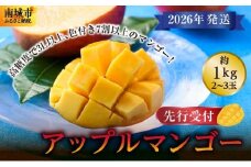 (先行受付)【2026年発送】アップルマンゴー 南城市 約1kg (2～3玉)