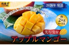 (先行受付)【2026年発送】アップルマンゴー 南城市 約2kg (3～5玉)