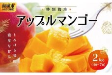 【2025年発送】特別栽培アップルマンゴー2kg（4個～7個）