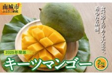 【2025年発送】キーツマンゴー2kg（2個～3個）