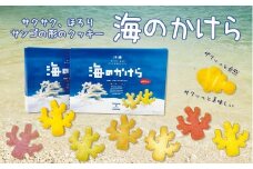 海のかけらクッキー 1箱8個入り2箱セット
