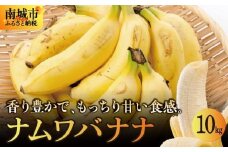 バナナ 南城市 ナムワバナナ 10kg