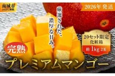 【2026年発送】完熟プレミアムマンゴー約1kg（化粧箱）2玉