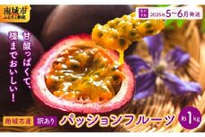 2025年5～6月発送　【先行予約】南城市産訳ありパッションフルーツ　約1kg