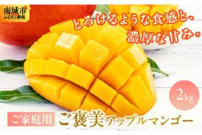 【先行予約】ご家庭用ご褒美アップルマンゴー　2kg