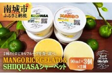 MANGO RICE GELATO＆SHIIQUASA シャーベット 6個セット（2種×各3個）