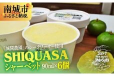 SHIIQUASA シャーベット