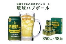 琉球ハブボール350ml 48缶（2ケース）